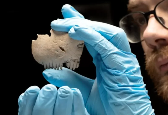 Mystery of an Iron Age comb made from a human skull